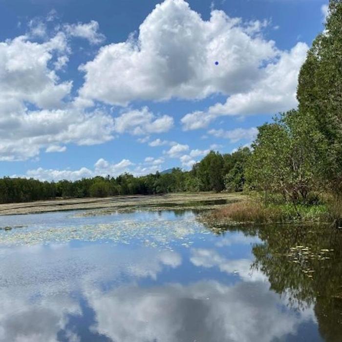 Down Under Tours Waterfall, Wetlands and Skyrail WWS