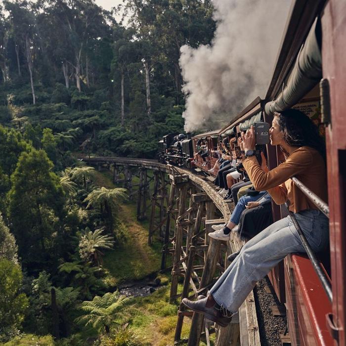 Explore Australia Puffing Billy & Penguins Experience