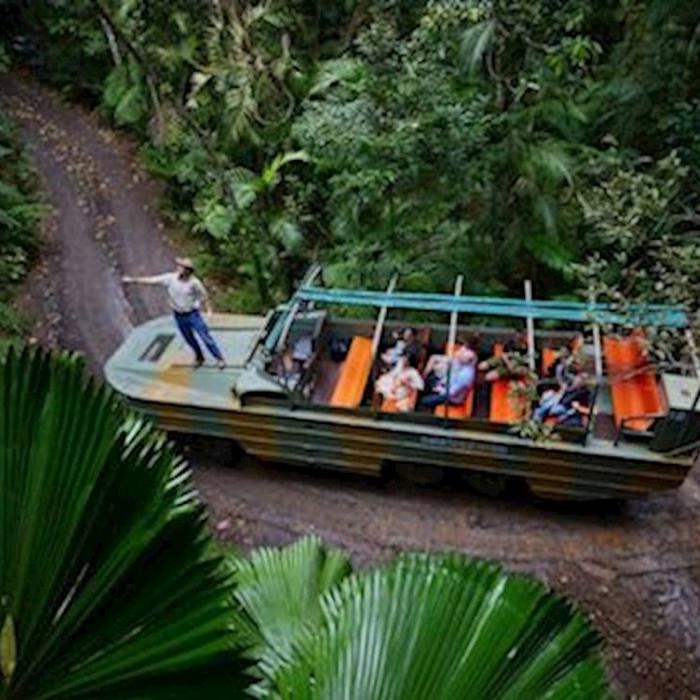 Tropic Wings Kuranda Deluxe with Skyrail & Butterflies - SALE