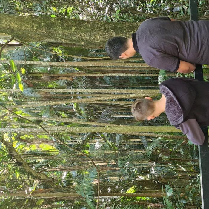 The Vino Bus Explore Tamborine Sightseeing - Departing Gold Coast