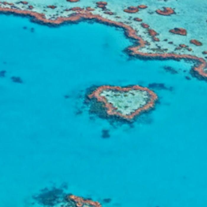 Get Out & About Whitsunday Fishing Shared Charter PM 4.5 Hours (Copy)