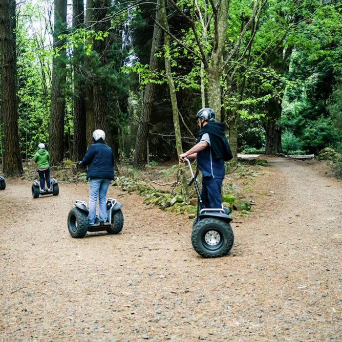 Treetops Adventure Hollybank Segway Tour