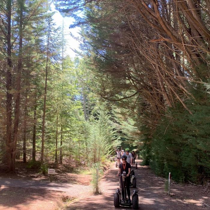 Treetops Adventure Hollybank Segway Tour