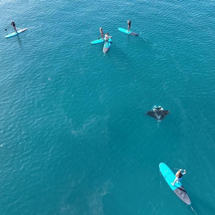 Wings Sailing Charters Whitsundays Full Day Whitsundays Private Charter 16-29 guests