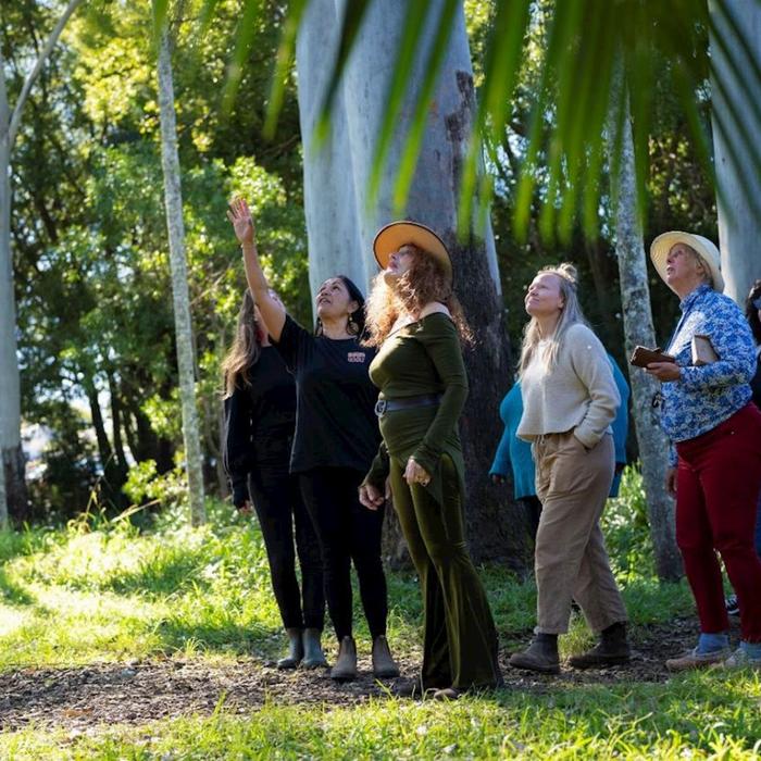 Explore Byron Bay Bangalow Bush Tucker Tours