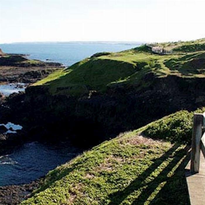 Oceania Tours Phillip Island and Moonlit Sanctuary (English M3)