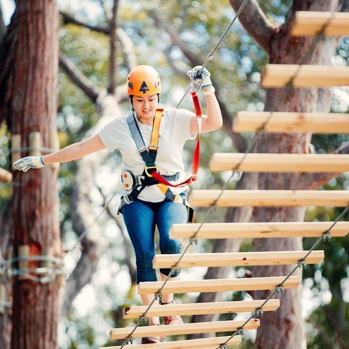 Treetops Adventure The Hills Tree Ropes Course