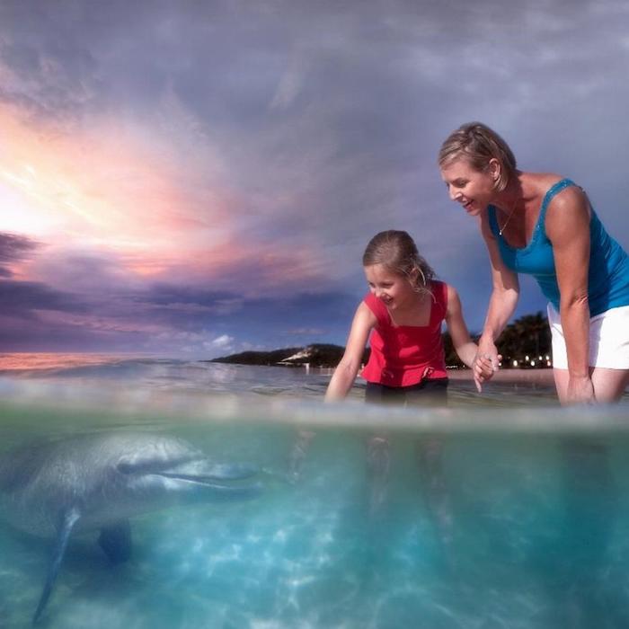 Tangalooma Island Resort - ATV Quad Bike Day Cruise with Dolphin Feeding