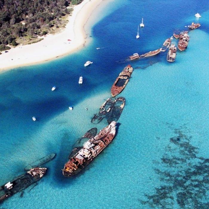 Tangalooma Island Resort - Snorkel The Wrecks Day Tour