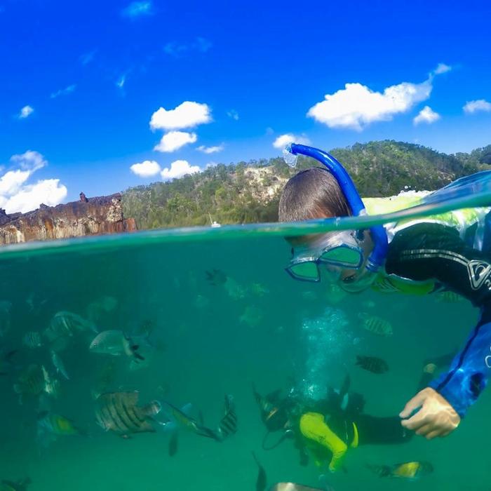 Tangalooma Island Resort - Snorkel The Wrecks Day Tour with Dolphin Feeding