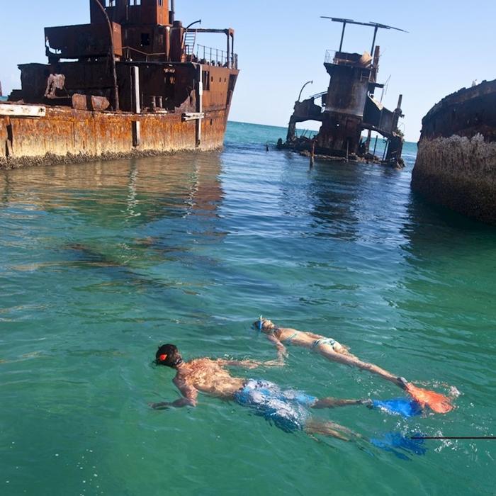 Tangalooma Island Resort - Snorkel The Wrecks Day Tour with Dolphin Feeding