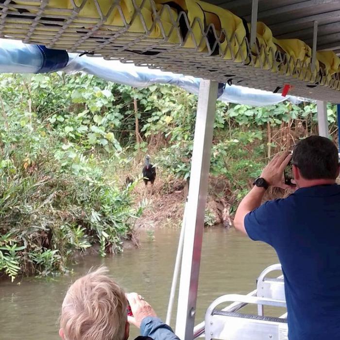 Tropic Tours Mossman Gorge Daintree Experience