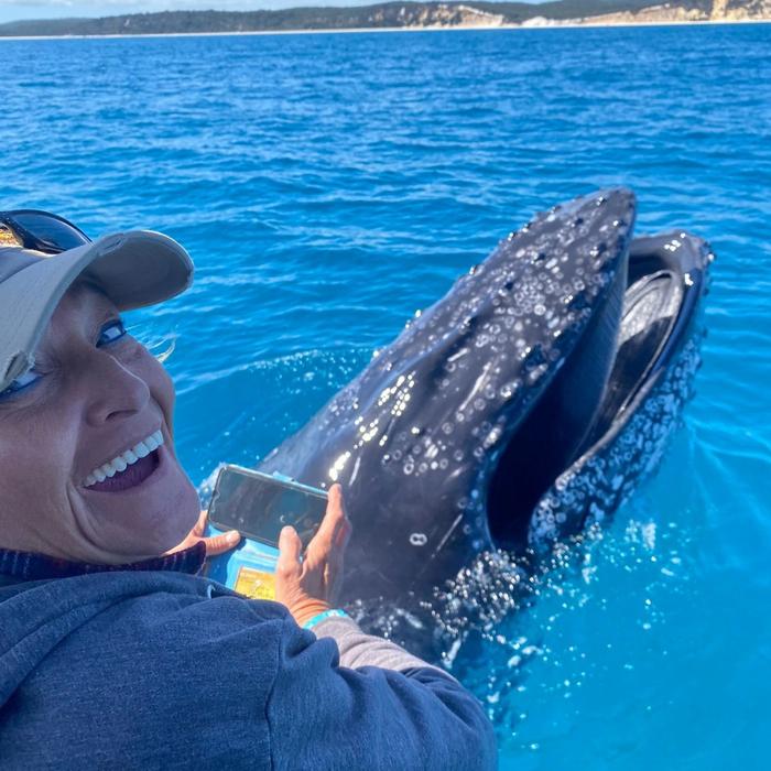 Noosa Ocean Adventures - Whale Watch