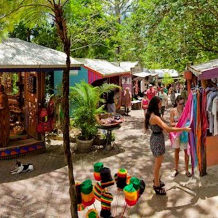 Down Under Tours Kuranda, Skyrail (9:45am), Scenic Rail (3:30pm) incl Return Port Douglas Transfers