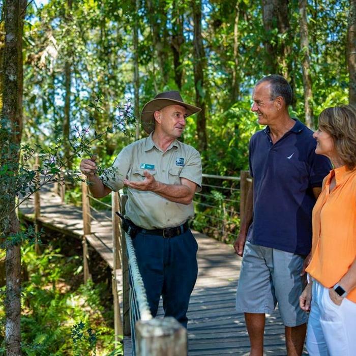 Down Under Tours Kuranda, Scenic Rail Gold Class (09:50am), Skyrail (3:45pm) incl. Return Port Douglas Transfers