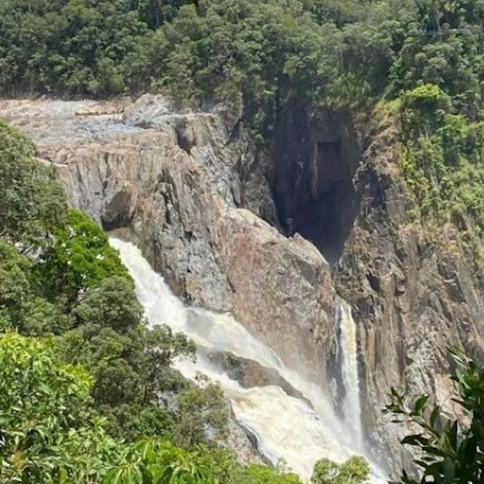 Down Under Tours Wetlands, Waterfall and Skyrail departing Port Douglas WWS XP