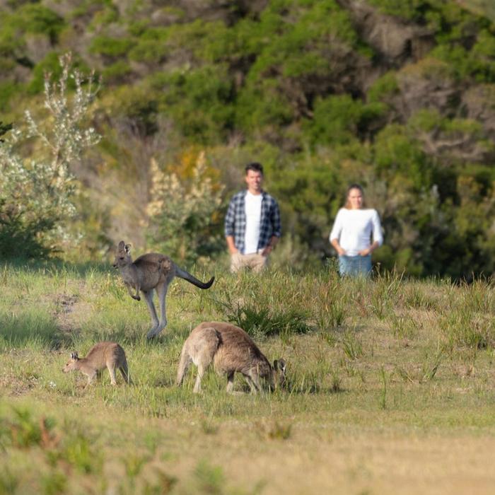 Explore Australia Explore Wilsons Promontory Wilderness Tour