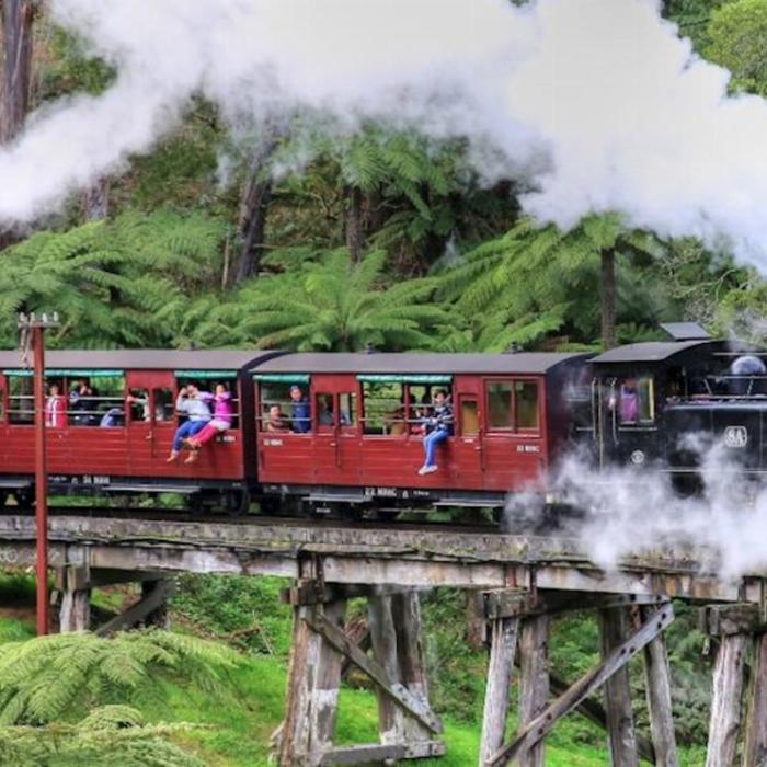 Wine Hop And Coastal Tours Puffing Billy And Phillip Island Penguin Parade Bus Tour