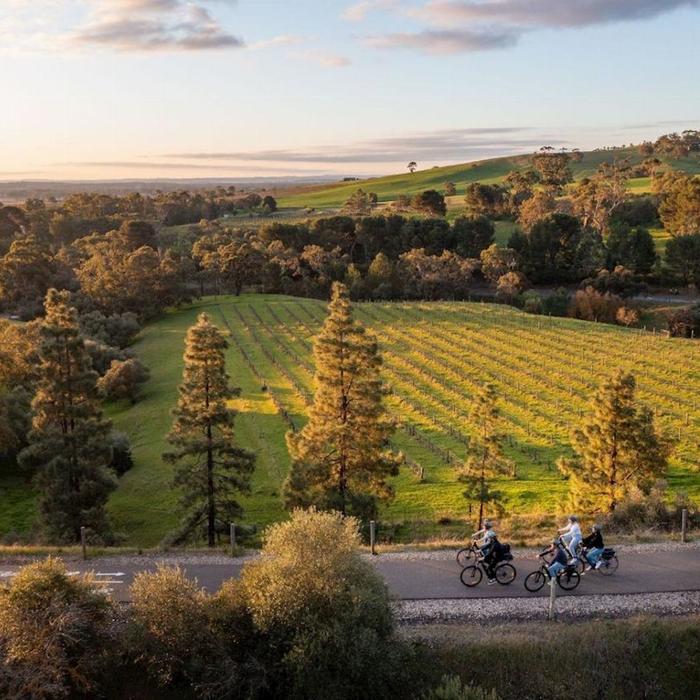Bike About Experience Barossa' Gourmet Food & Wine E-bike Tour (Including Transfers)
