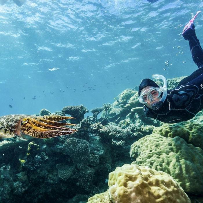 Divers Den AquaQuest Snorkel Special