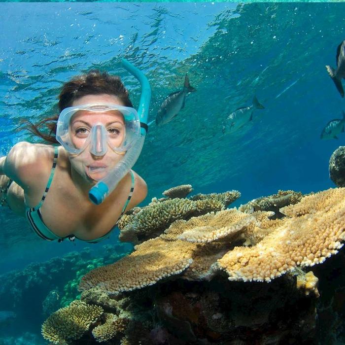 Divers Den AquaQuest Snorkel Special