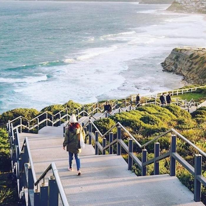 Newy Tour Co Discover Newcastle Coastal Charms & City Secrets