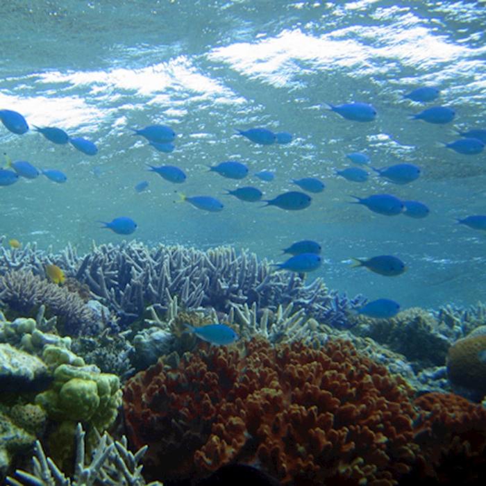Explore Group Australia 09:00am UVA Island Explorer