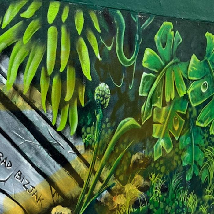 Hidden Secrets Tours Art in the Streets