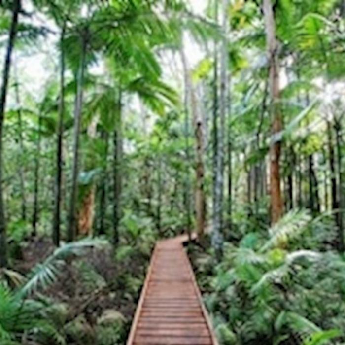 Cairns Canyoning Explorer Tour - Waterfall and Rainforest siteseeing
