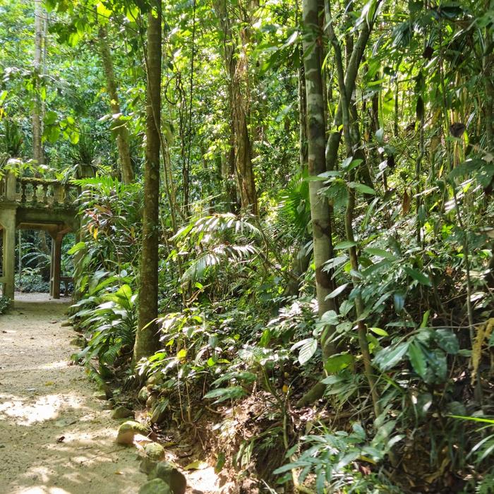 Northern Experience Eco Tours Premium Tablelands, Waterfalls & Paronella Park Rainforest Day Tour - From Cairns
