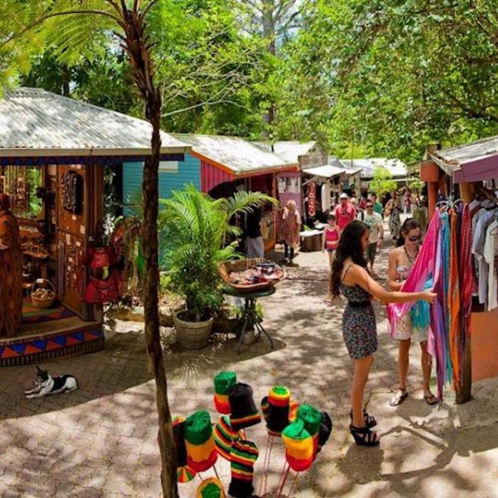 Down Under Tours Kuranda, Scenic Railway (09:50am), Skyrail (3:45pm) incl. Return Cairns Transfers