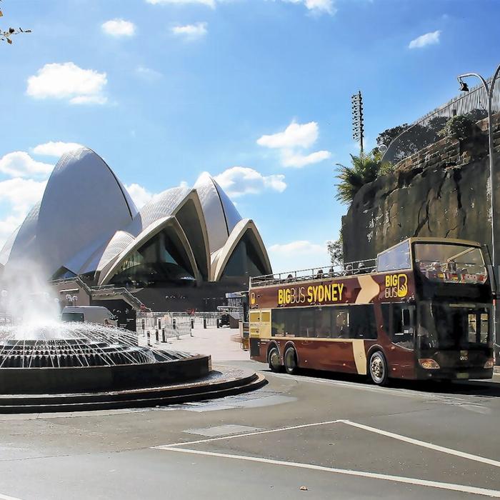 Big Bus Tours Discover Ticket