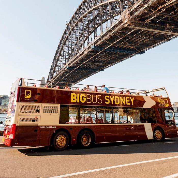 Big Bus Tours Discover Ticket