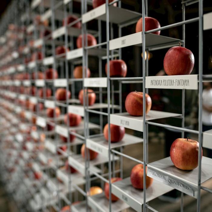 Tassie Tours Hastings cave, Tahune Airwalk and the Huon tasting trail