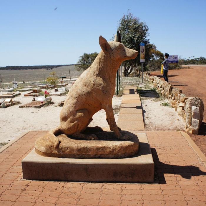 Australian Pinnacle Tours Wave Rock, York and Aboriginal Culture including Rustic Lunch