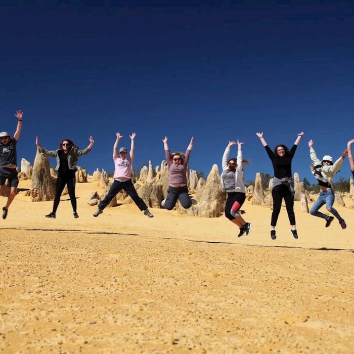 Wildlife Tours Australia Pinnacles Sunset Tour with Picnic Dinner