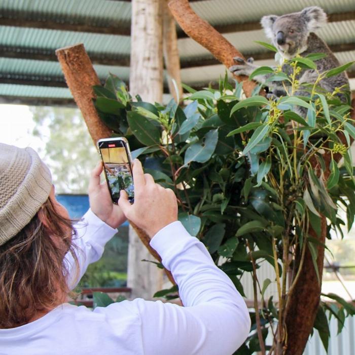 Newy Tour Co Newcastle: Animal lovers day tour