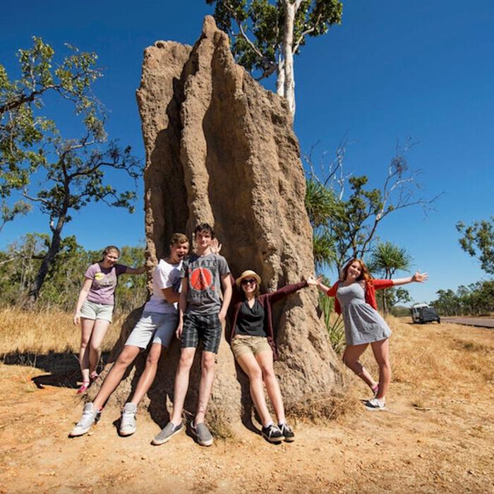 Wildlife Tours Australia Litchfield Waterfalls Wildlife Tour + Croc Cruise
