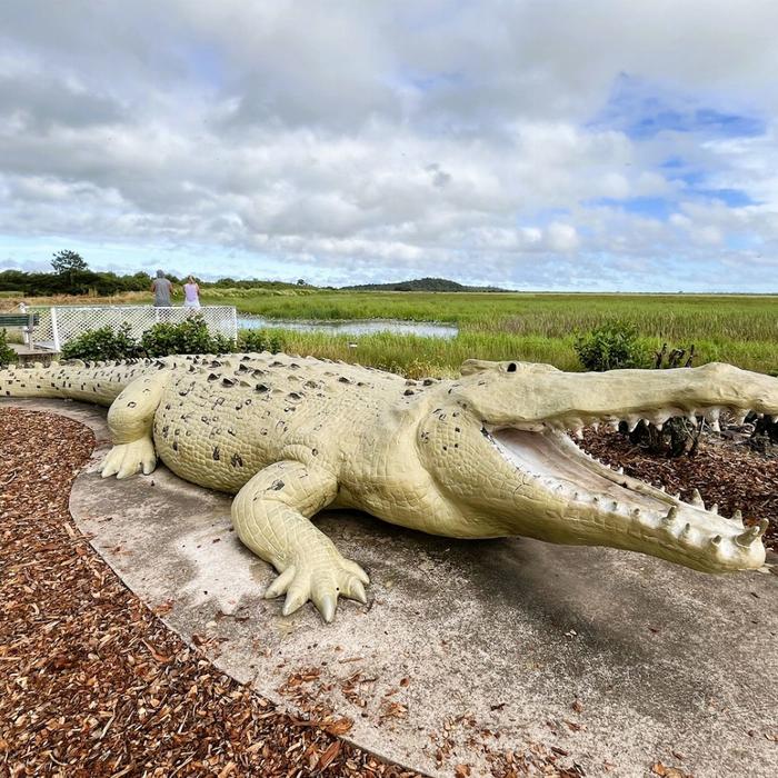 Wildlife Tours Australia Half Day Jumping Crocodile Cruise