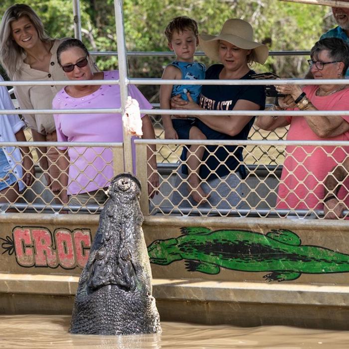 Wildlife Tours Australia Half Day Jumping Crocodile Cruise