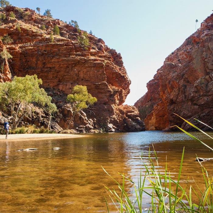 Wildlife Tours Australia West MacDonnell Ranges (Tjoritja) Tour