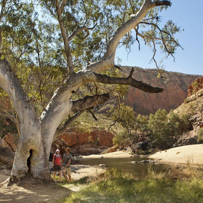 Wildlife Tours Australia West MacDonnell Ranges (Tjoritja) Tour