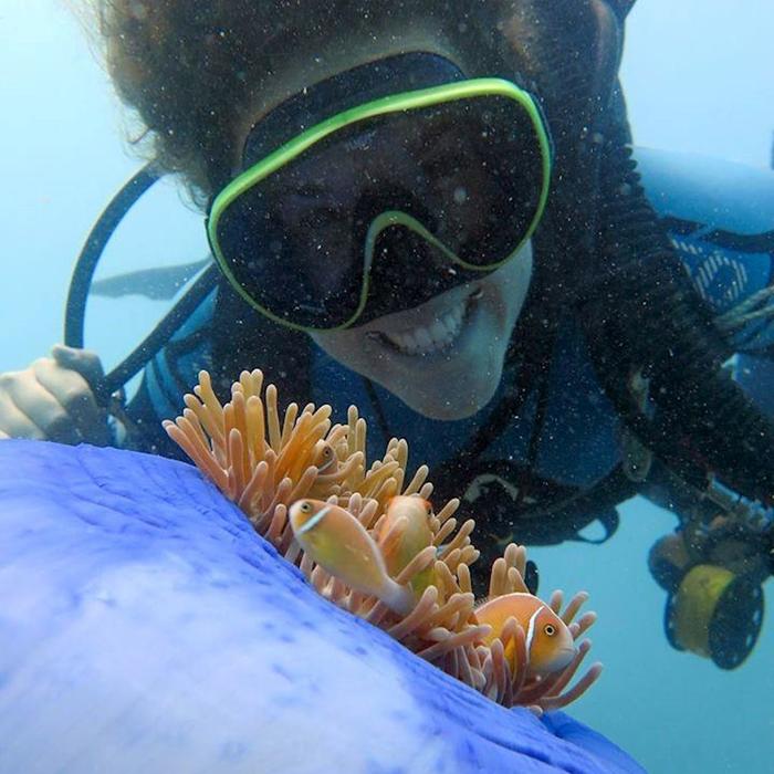Whitsunday Dive Adventures 2-Tank Scuba Tour - Whitsunday Islands
