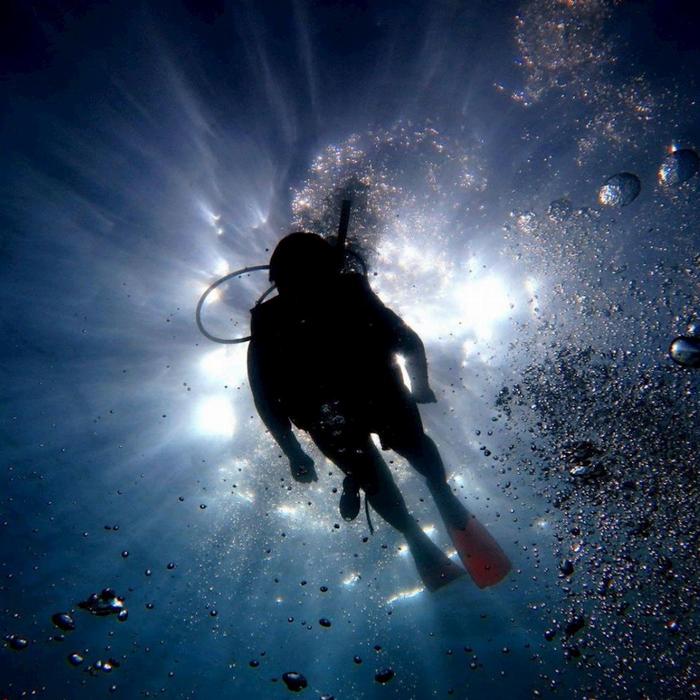 Whitsunday Dive Adventures 2-Tank Scuba Tour - Whitsunday Islands