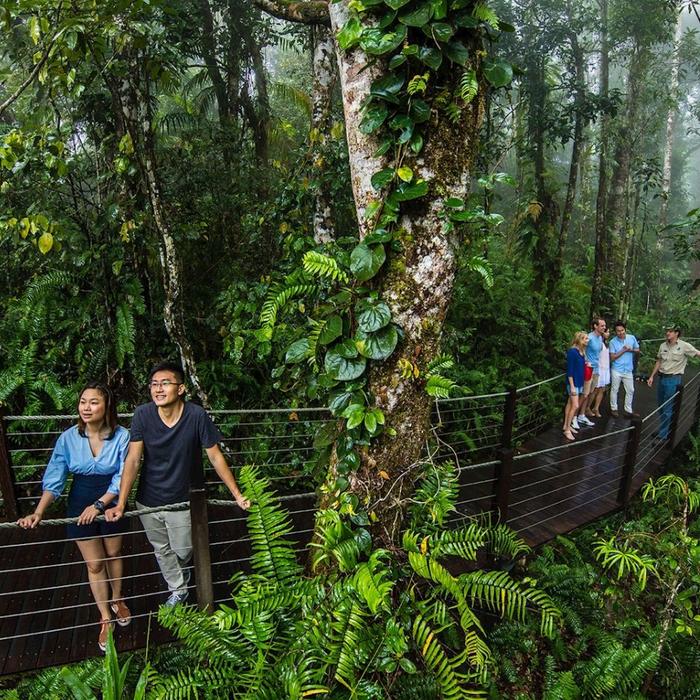 Skyrail Rainforest Cableway Return Skyrail Experience (no transfers)