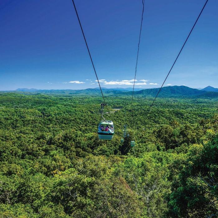Skyrail Rainforest Cableway Return Skyrail Experience (no transfers)