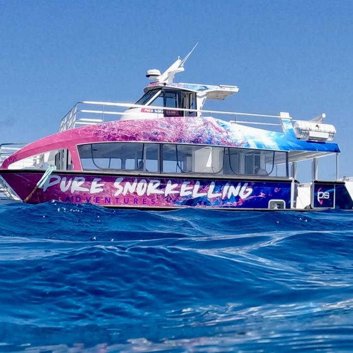 Pure Snorkelling Half Day Outer Reef Snorkel Adventure