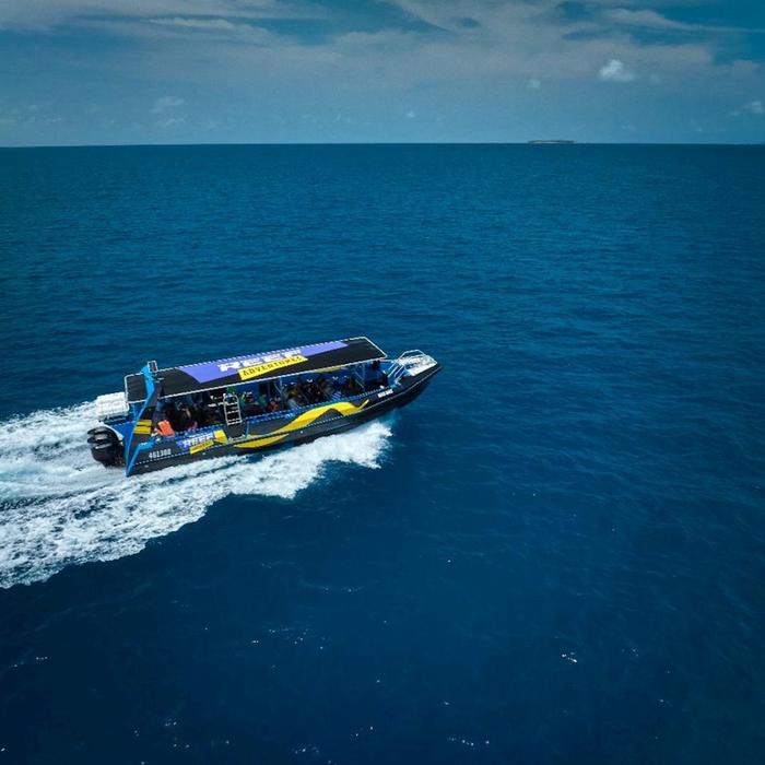 Reef Adventures Great Barrier Reef Half Day Snorkelling Tour - Cairns