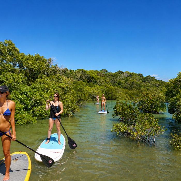 Epic Ocean Adventures Noosa Stand Up Paddle & Mangrove Tunnel Tour - (Fully Guided)