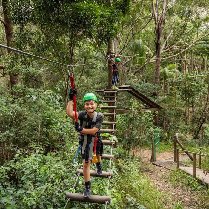 TreeTop Challenge Mt Tamborine High Ropes and Zipline Adventure